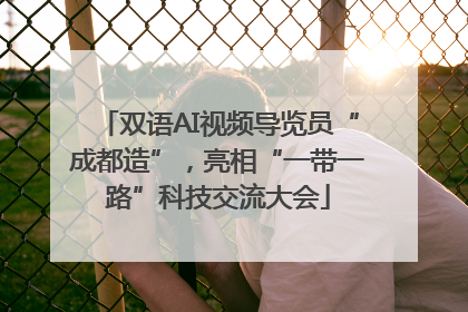 双语AI视频导览员“成都造”，亮相“一带一路”科技交流大会