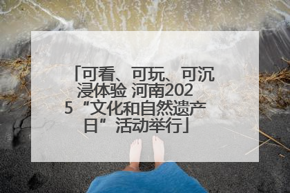 可看、可玩、可沉浸体验 河南2025“文化和自然遗产日”活动举行