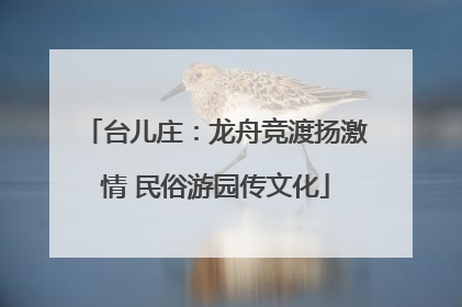 台儿庄：龙舟竞渡扬激情 民俗游园传文化