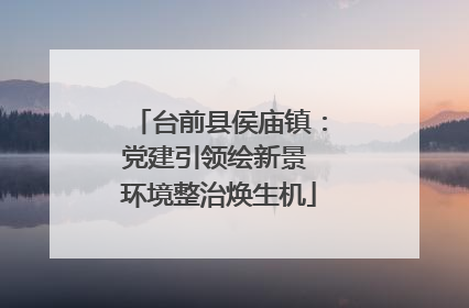 台前县侯庙镇：党建引领绘新景 环境整治焕生机