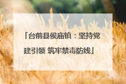 台前县侯庙镇：坚持党建引领 筑牢禁毒防线