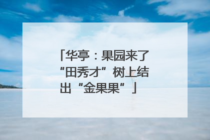 华亭：果园来了“田秀才”树上结出“金果果”