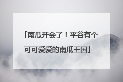 南瓜开会了！平谷有个可可爱爱的南瓜王国