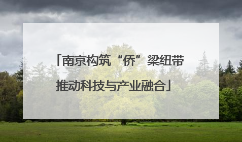 南京构筑“侨”梁纽带推动科技与产业融合