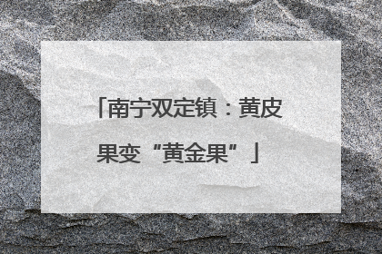 南宁双定镇：黄皮果变“黄金果”