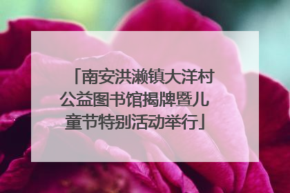 南安洪濑镇大洋村公益图书馆揭牌暨儿童节特别活动举行