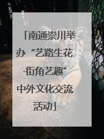 南通崇川举办“艺路生花·街角艺趣”中外文化交流活动