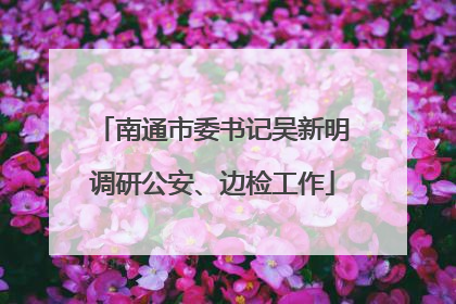 南通市委书记吴新明调研公安、边检工作