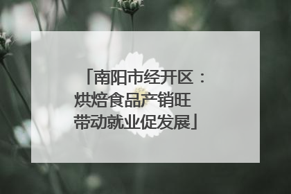 南阳市经开区：烘焙食品产销旺 带动就业促发展