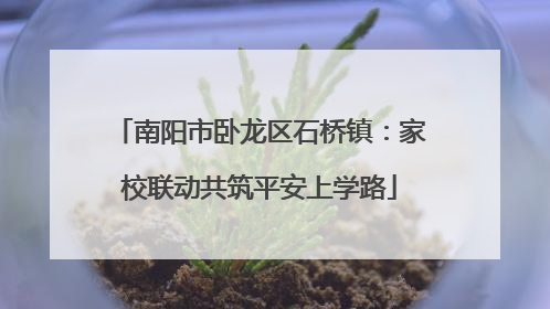 南阳市卧龙区石桥镇：家校联动共筑平安上学路