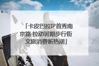 卡皮巴拉IP首秀南京路 拉动暑期步行街文旅消费新热潮