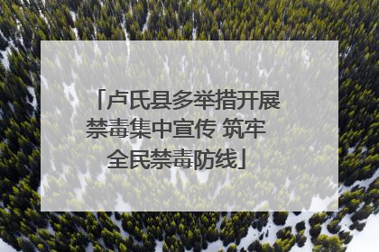 卢氏县多举措开展禁毒集中宣传 筑牢全民禁毒防线