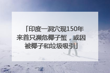 印度一洞穴现150年来首只濒危椰子蟹，或因被椰子和垃圾吸引