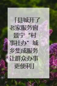 县城开了老家服务窗 景宁“村事社办”城乡集成服务让群众办事更便利