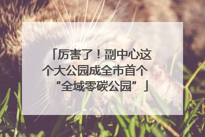 厉害了！副中心这个大公园成全市首个“全域零碳公园”