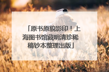原书原貌影印！上海图书馆藏明清珍稀稿钞本整理出版