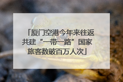 厦门空港今年来往返共建“一带一路”国家旅客数破百万人次