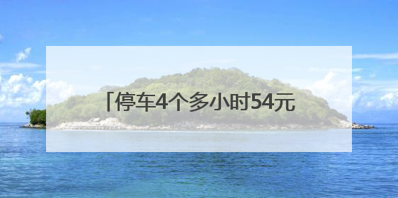 停车4个多小时54元 车主直呼被“刺”了