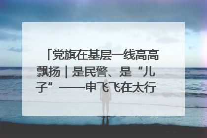 党旗在基层一线高高飘扬｜是民警、是“儿子”——申飞飞在太行山中的一线坚守