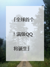 全球首个！满级QQ将诞生