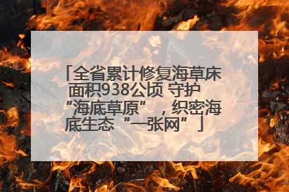 全省累计修复海草床面积938公顷 守护“海底草原”，织密海底生态“一张网”