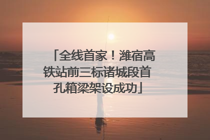 全线首家！潍宿高铁站前三标诸城段首孔箱梁架设成功