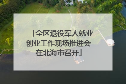 全区退役军人就业创业工作现场推进会在北海市召开