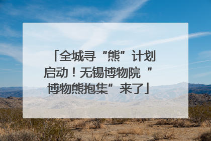 全城寻“熊”计划启动！无锡博物院“博物熊抱集”来了