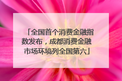 全国首个消费金融指数发布，成都消费金融市场环境列全国第六