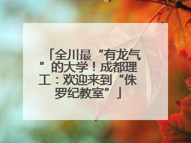全川最“有龙气”的大学！成都理工：欢迎来到“侏罗纪教室”