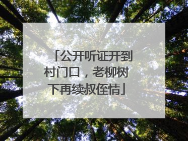 公开听证开到村门口，老柳树下再续叔侄情