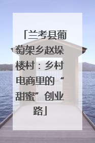 兰考县葡萄架乡赵垛楼村：乡村电商里的“甜蜜”创业路