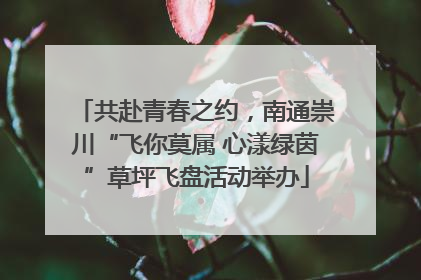 共赴青春之约，南通崇川“飞你莫属 心漾绿茵”草坪飞盘活动举办