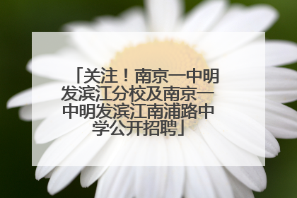 关注！南京一中明发滨江分校及南京一中明发滨江南浦路中学公开招聘