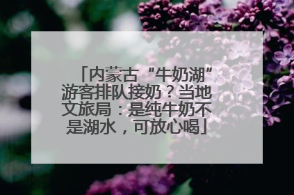 内蒙古“牛奶湖”游客排队接奶？当地文旅局：是纯牛奶不是湖水，可放心喝