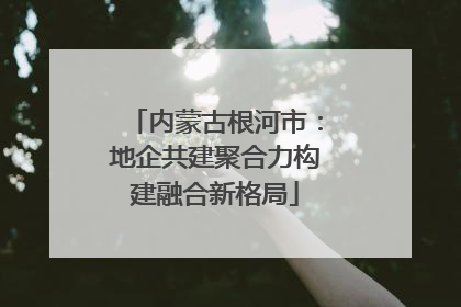 内蒙古根河市：地企共建聚合力构建融合新格局