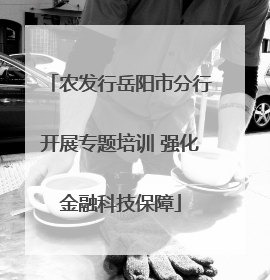 农发行岳阳市分行开展专题培训 强化金融科技保障