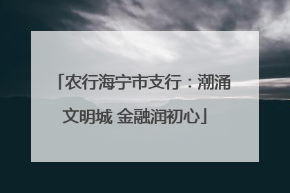 农行海宁市支行：潮涌文明城 金融润初心
