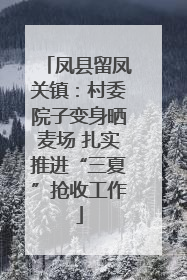 凤县留凤关镇：村委院子变身晒麦场 扎实推进“三夏”抢收工作