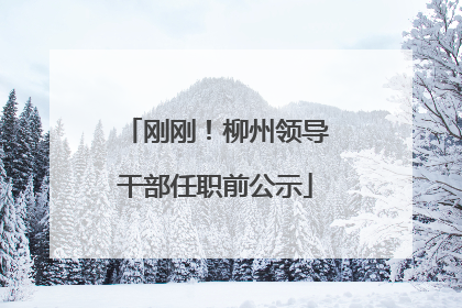 刚刚！柳州领导干部任职前公示