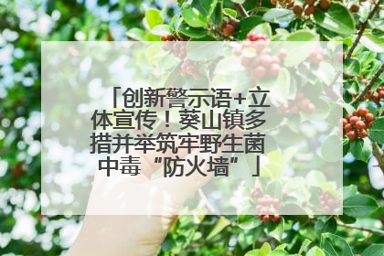 创新警示语+立体宣传！葵山镇多措并举筑牢野生菌中毒“防火墙”