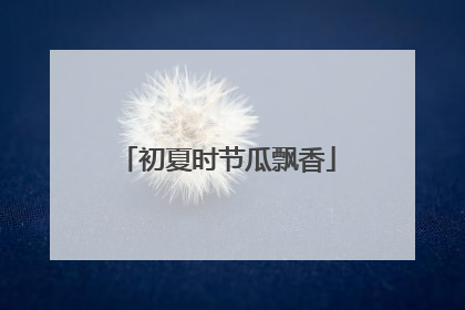 初夏时节瓜飘香