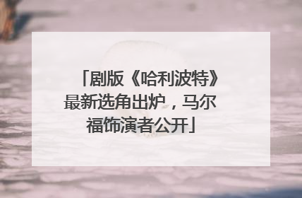 剧版《哈利波特》最新选角出炉，马尔福饰演者公开