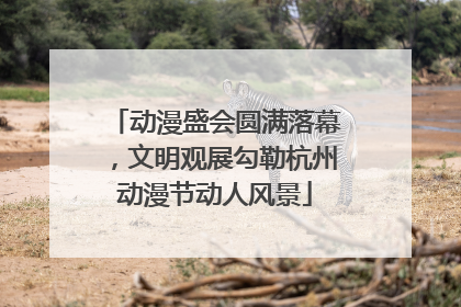 动漫盛会圆满落幕，文明观展勾勒杭州动漫节动人风景