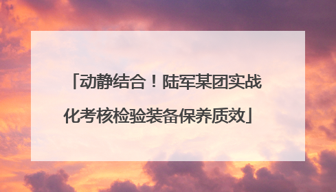 动静结合！陆军某团实战化考核检验装备保养质效