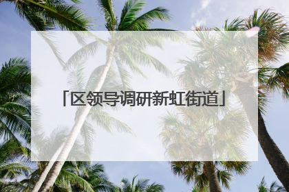 区领导调研新虹街道