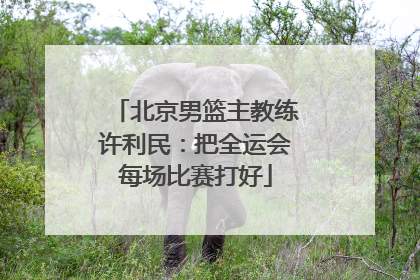 北京男篮主教练许利民：把全运会每场比赛打好