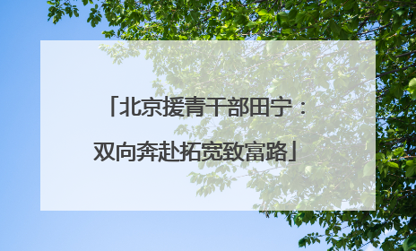 北京援青干部田宁：双向奔赴拓宽致富路