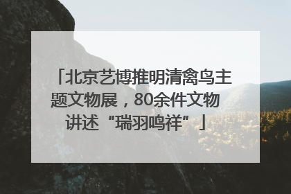 北京艺博推明清禽鸟主题文物展，80余件文物讲述“瑞羽鸣祥”