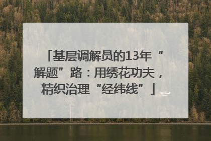 基层调解员的13年“解题”路：用绣花功夫，精织治理“经纬线”